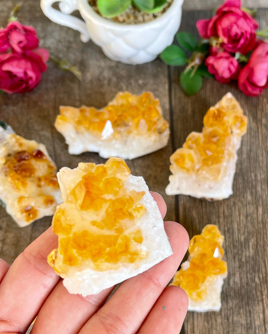 1pc. Citrine Crystal Druzy - Yellow Citrine Crystal - Grade A Crystal Cluster -  Rare Crystals  - Yellow Crystal - Citrine Cluster