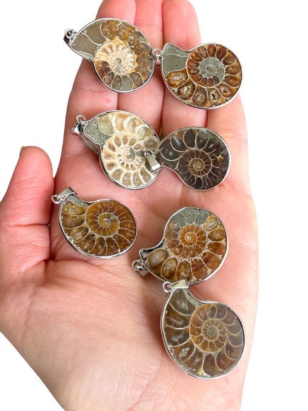 Sterling Silver Ammonite Necklace - Ammonite Necklace For Men - Silver Necklace Men - Ammonite Pendant - Men Jewelry