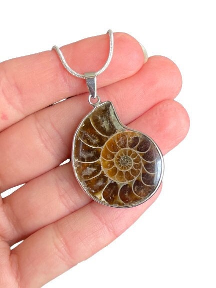 Ammonite necklace with 925 sterling silver chain