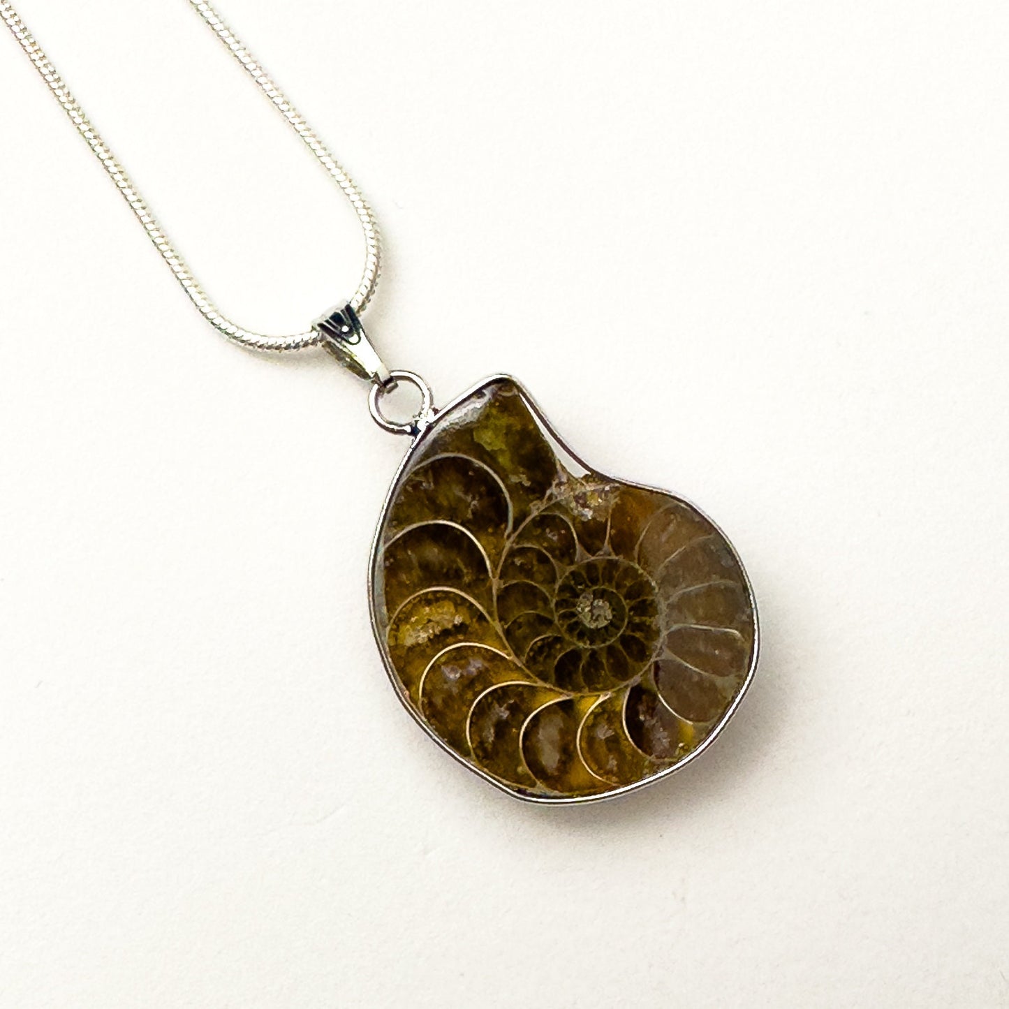 Ammonite necklace with 925 sterling silver chain