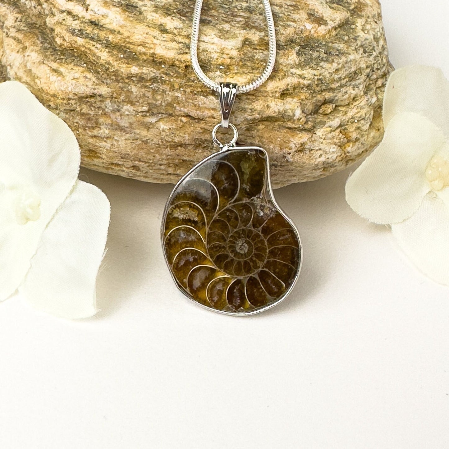 Ammonite necklace with 925 sterling silver chain