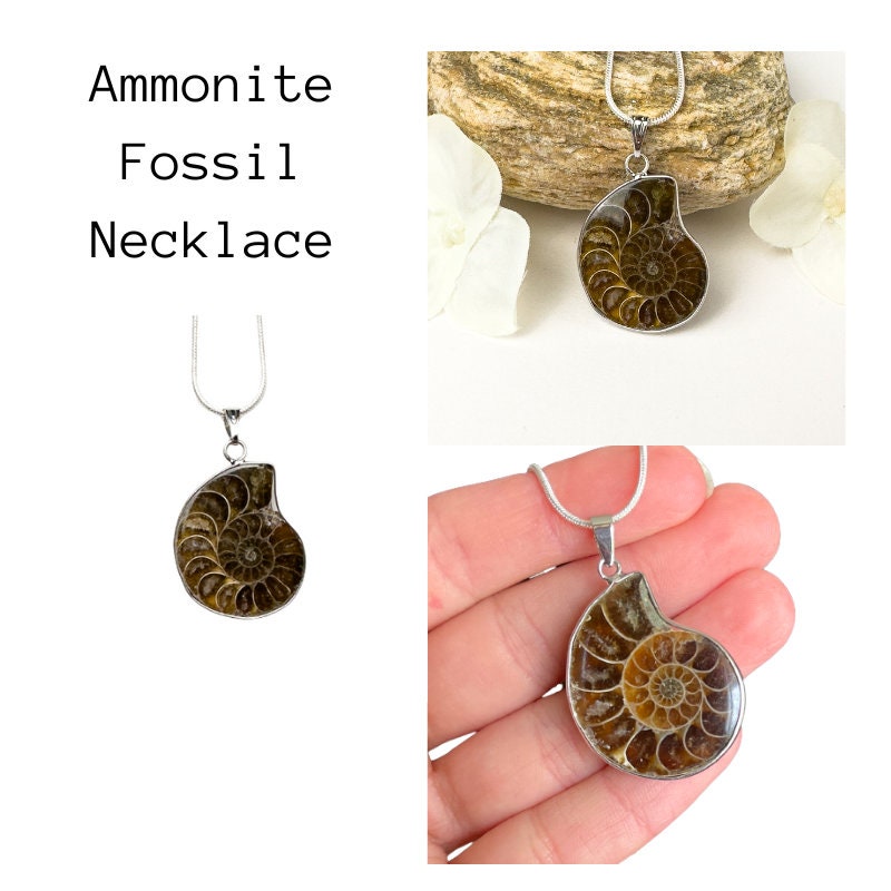 Ammonite necklace with 925 sterling silver chain