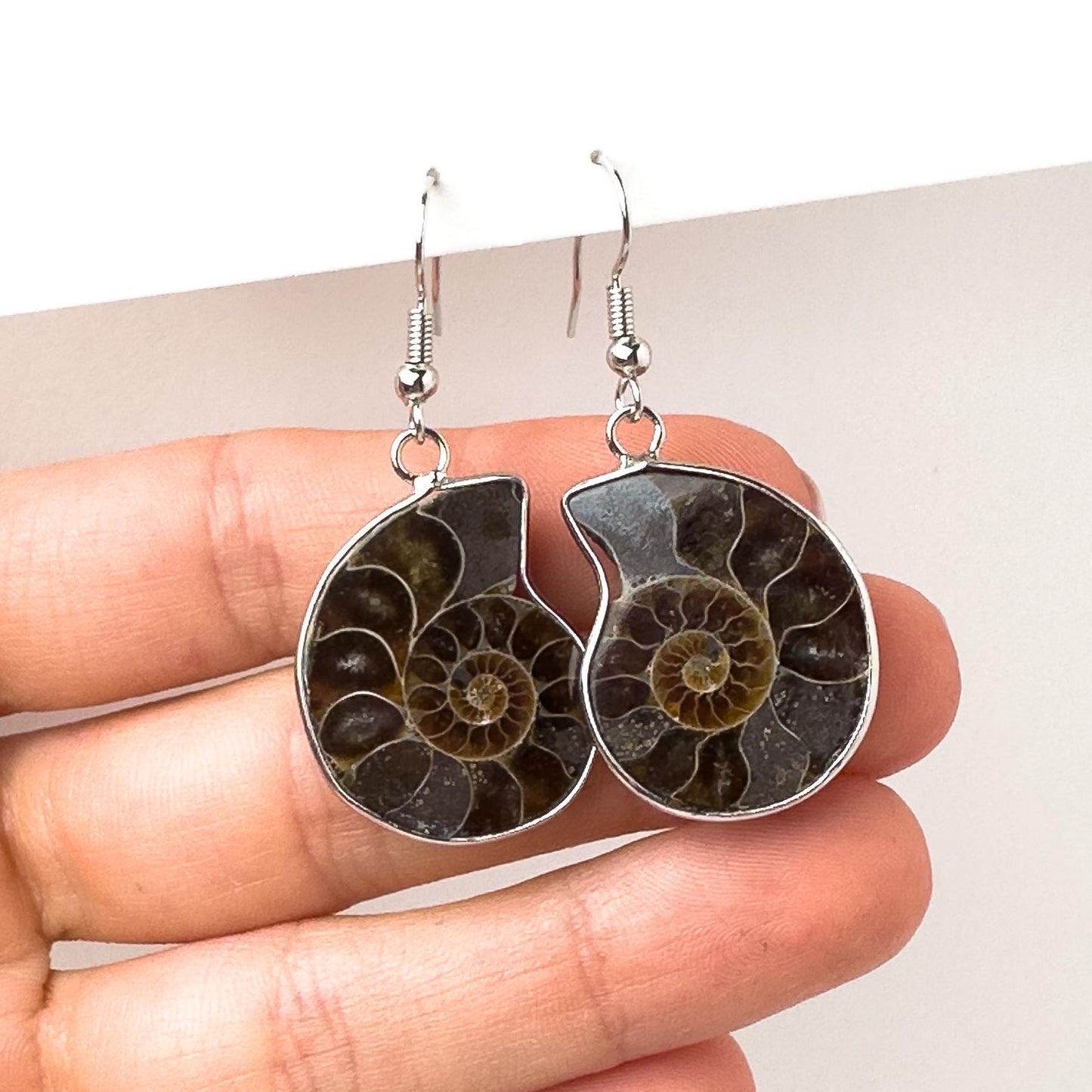 Natural Ammonite Earrings - Silver Earrings - Silver Ammonite Earrings - Ammonite gift - Ammonite Jewelry - Rare Natural Ammonite