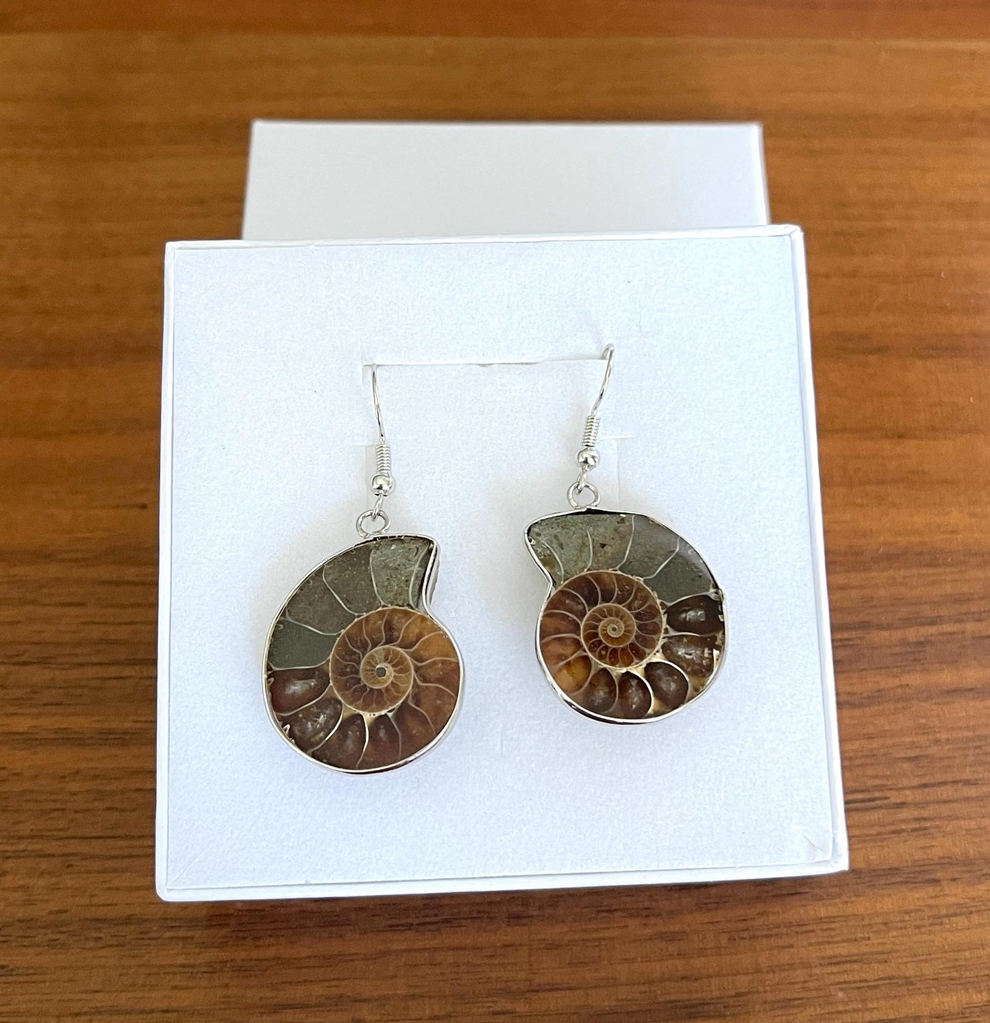 Natural Ammonite Earrings - Silver Earrings - Silver Ammonite Earrings - Ammonite gift - Ammonite Jewelry - Rare Natural Ammonite