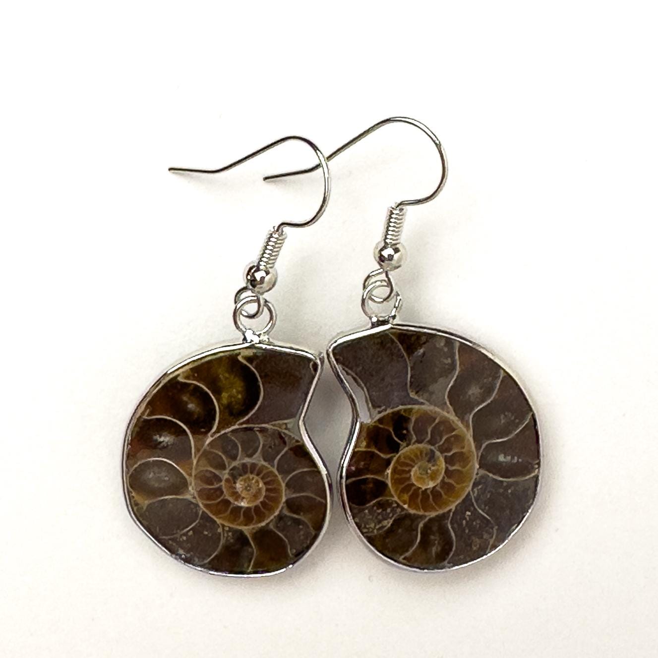 Natural Ammonite Earrings - Silver Earrings - Silver Ammonite Earrings - Ammonite gift - Ammonite Jewelry - Rare Natural Ammonite