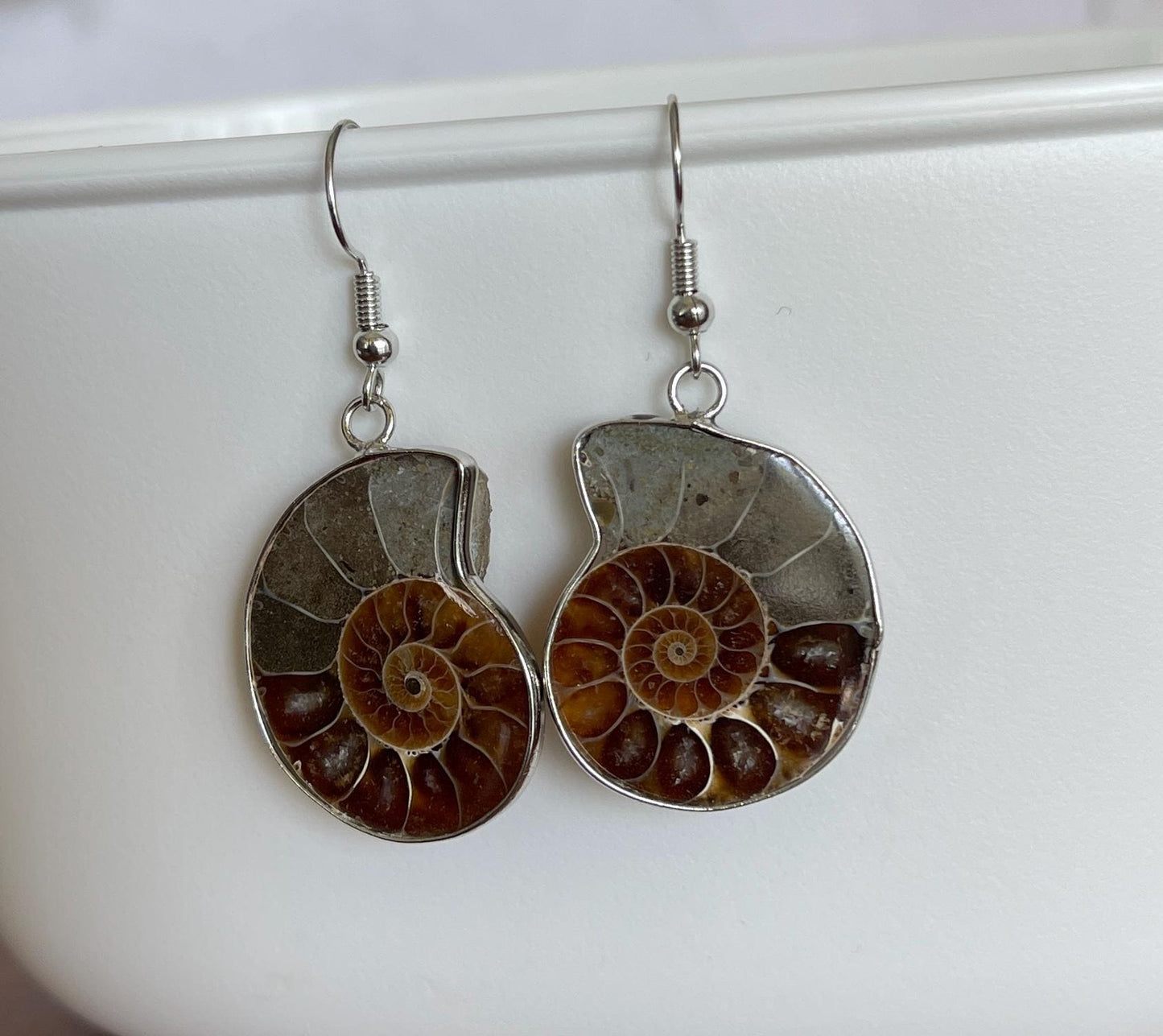 Natural Ammonite Earrings - Silver Earrings - Silver Ammonite Earrings - Ammonite gift - Ammonite Jewelry - Rare Natural Ammonite